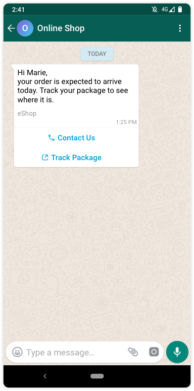 image_wa_conversation_rounded_borders_interactive_buttons_cta_2_message_0.35x